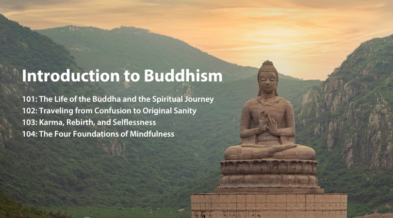 intro, study, meditation, buddhism